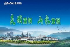 【重慶鋼鐵股份有限公司煉鋼廠項